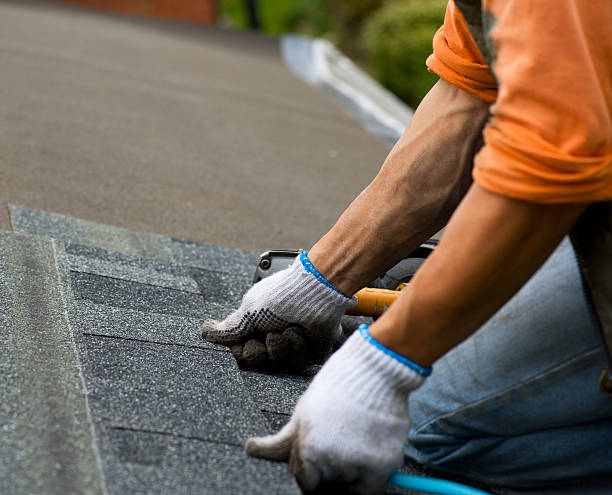 Roof Gutter Cleaning in Agua Dulce, TX